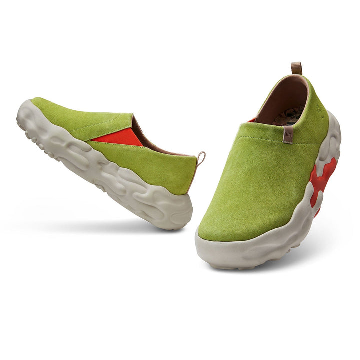 Agave Toledo XIII Women